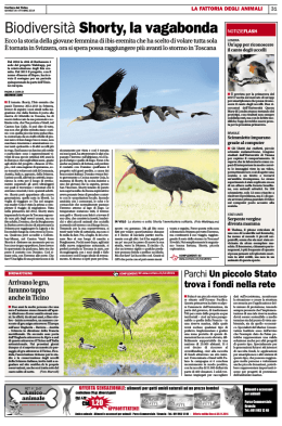 "Shorty, la vagabonda" (Corriere del Ticino 10/2014)