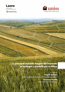 Le principali malattie fungine del frumento in Sardegna e prodotti