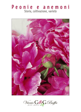 Peonie e anemoni
