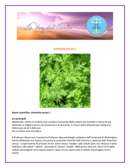Artemisia annua L. - lavozdelcielo.info