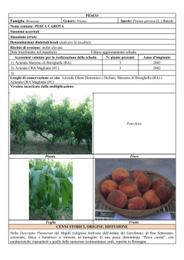Pesca carota - Agricoltura e pesca