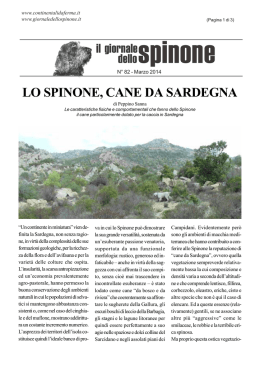LO SPINONE, CANE DA SARDEGNA - di Peppino Sanna