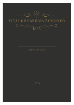 Scarica il "Profilo Aziendale di Vitale Barberis Canonico" [571 KB]
