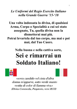 leggi le uniformi nella grande guerra