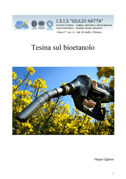 Tesina sul bioetanolo
