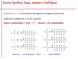 Lezione (7) XVII 08.05.14 Lipasi