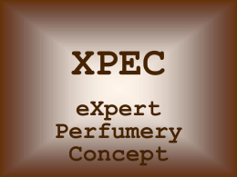 XPEC - Beauty Lead