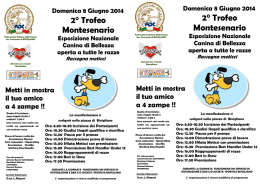 Volantino expo Bivigliano 8 giugno 2014