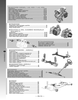 RTA 175 - Peugeot 206 1.4 e 1.6 HDI