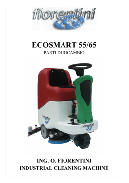 ECOSMART 55/65 - Fiorentini SpA