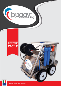 brochure - Buggy 114