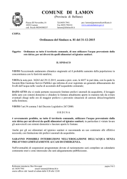 ordinanza 81 - Comune di Lamon