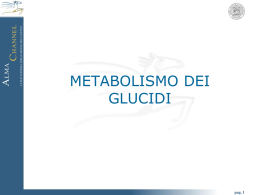 3-Metabolismo_dei_glucidi