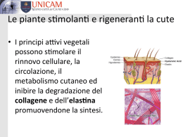 Le piante swmolanw e rigeneranw la cute