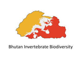 Bhutan Invertebrate Biodiversity