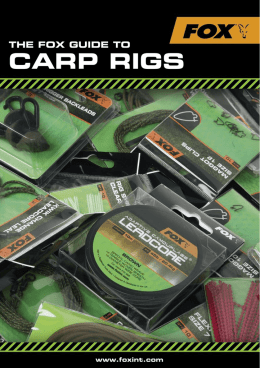 CARP RIGS