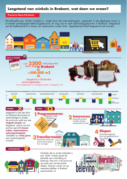 Infographic leegstand winkels - Provincie Noord