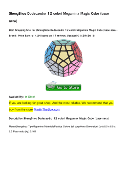ShengShou Dodecaedro 12 colori Megaminx Magic Cube (base nera)