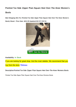 Pointed Toe Side Zipper Plain Square Heel Over-The