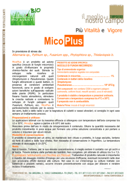 Scheda tecnica MicoPlus 2013 (seconda pagina)