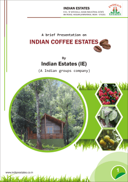 well maintained coffee estate of 1 Acre, 2 Acre & 5 Acres.