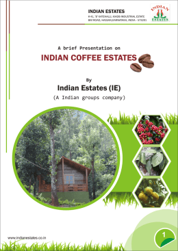  coffee estate for sale in hassan 1 Acre or 2 acre with Bank Loan Facility Available