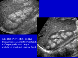 Nefrospongiosi 3 (ETG)