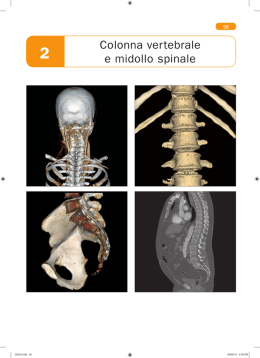 Colonna vertebrale e midollo spinale