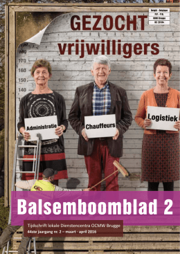 Balsemboomblad 2 - Dienstencentra Brugge