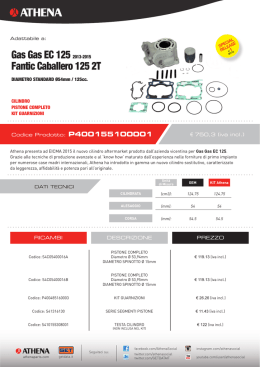 Gas Gas EC 125 2013-2015 Fantic Caballero 125 2T