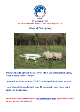Locandina Stage di Sheepdog - Pastore Svizzero Bianco Club Italia