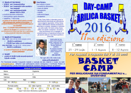 daycamp.16 - Arilica Basket