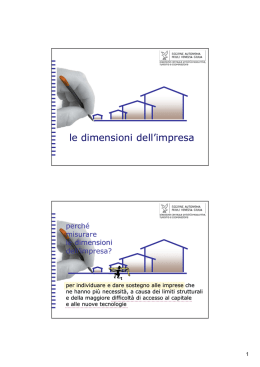 Definizione di PMI - Regione Autonoma Friuli Venezia Giulia