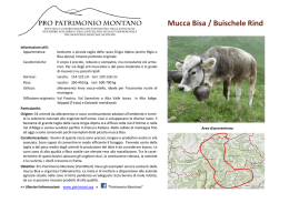 Mucca Bisa - Pro Patrimonio Montano