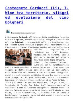 Castagneto Carducci (Li), T-Wine tra territorio, vitigni ed evoluzione
