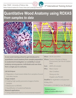 Quantitative Wood Anatomy using ROXAS – from samples to data