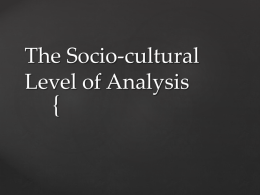 { The Socio-cultural Level of Analysis