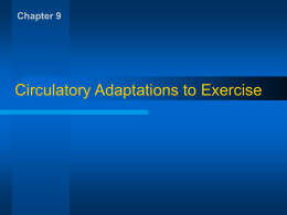 Circulatory Adaptations to Exercise Chapter 9