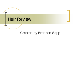 Hair Review Created by Brennon Sapp