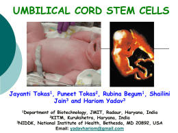 UMBILICAL CORD STEM CELLS Jayanti Tokas , Puneet Tokas , Rubina Begum