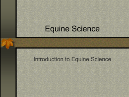 Equine Science Introduction to Equine Science