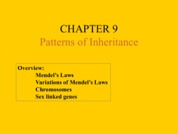 CHAPTER 9 Patterns of Inheritance Overview: Mendel’s Laws