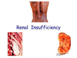 Renal  Insufficiency