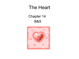 The Heart Chapter 14 B&amp;S