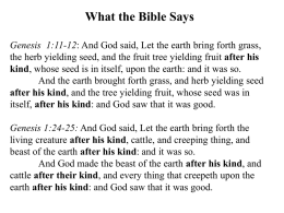 What the Bible Says