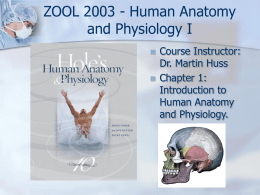 ZOOL 2003 - Human Anatomy and Physiology I Course Instructor: Dr. Martin Huss