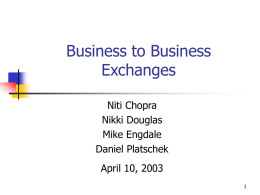 Business to Business Exchanges Niti Chopra Nikki Douglas