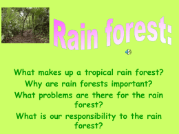 What makes up a tropical rain forest?