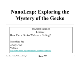 NanoLeap: Exploring the Mystery of the Gecko Physical Science Lesson 1