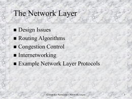 The Network Layer Design Issues Routing Algorithms Congestion Control